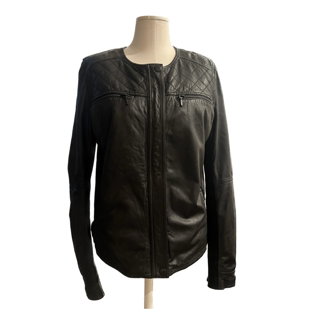Caslon Leather Jacket with Quilted Accent | Nordstrom